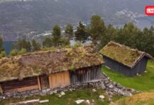 Gardane langs Storfjorden S2E2 – Vikasætra